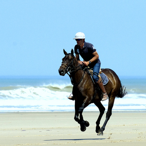 balade plage - cheval et polo