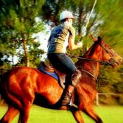 Initiation au polo 3h au Bouscat