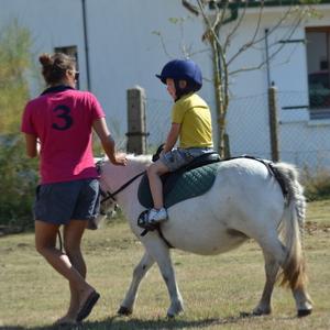 Balade en main Poney