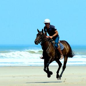 Balade à cheval plage et océan 1h30