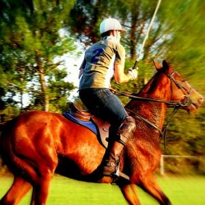 Initiation au polo 3h au Bouscat