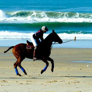 Beach polo