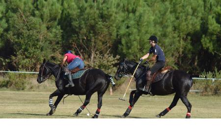 Practice de polo  Vendays-Montalivet