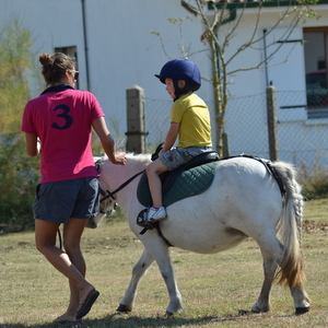 balade poney