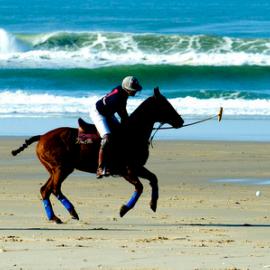 Beach polo