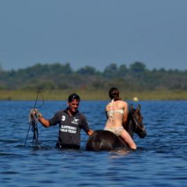 Débourrage en douceur dans l'eau