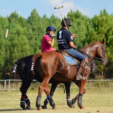 Coaching polo