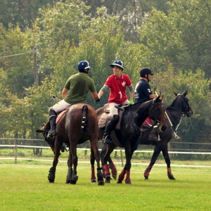 entreprises - cheval et polo